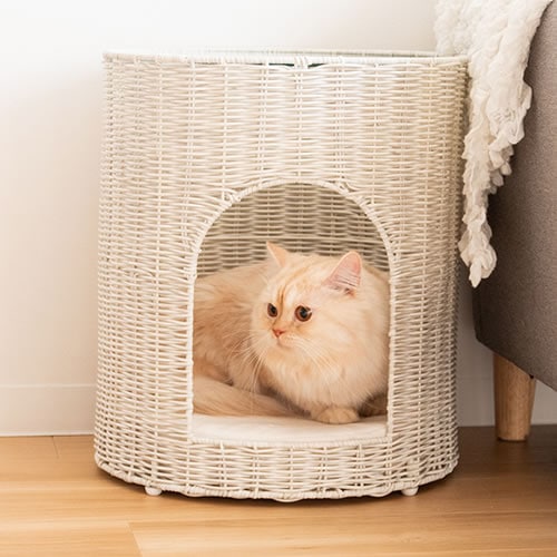 宮武製作所【ペット用品】猫ちぐら Pienet（ピエネ） ホワイト 完成品（ガラス天板のみ取り付け） CGR-400-WH【クッション付き】サイドテーブルとしても