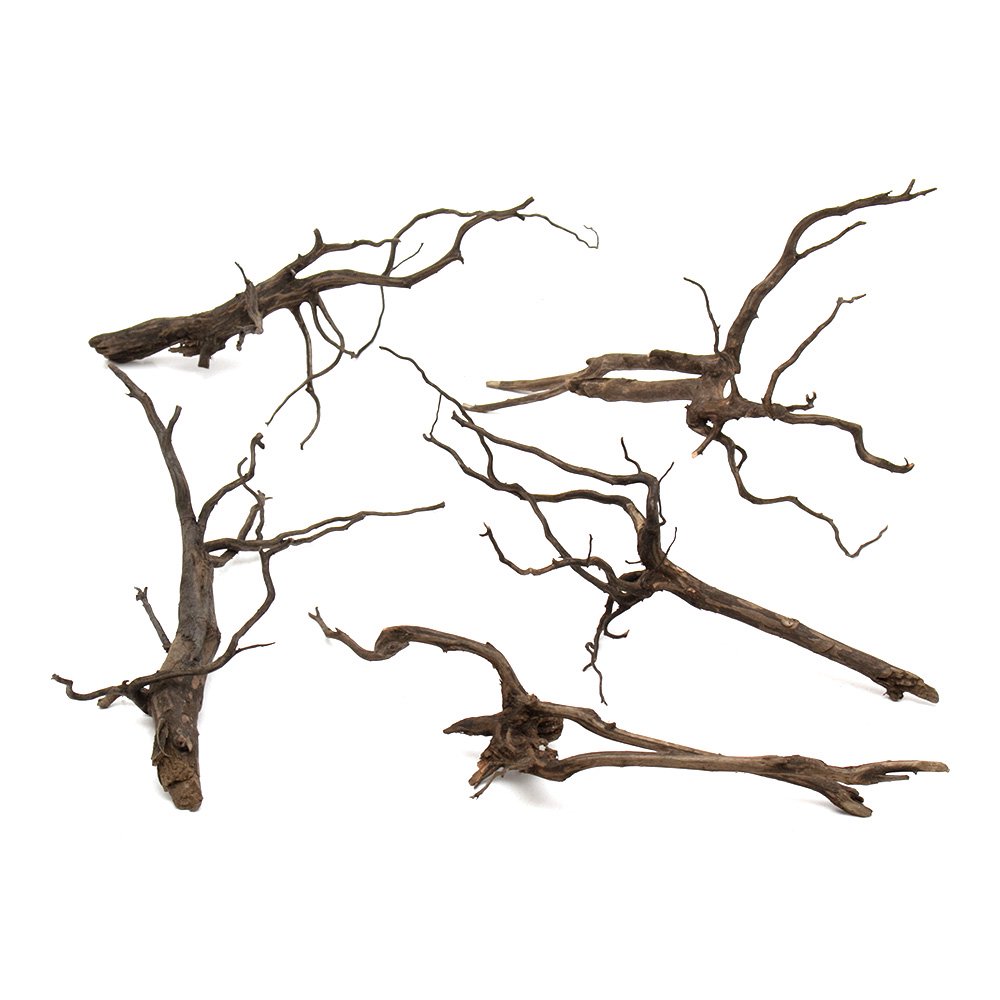 形状お任せ　煮込み済み　スパークウッド　Ｌサイズ（約３０ー４０ｃｍ）　５本　アクアリウム　レイアウト素材　流木　ＣＲＣ21―10―40―30―00