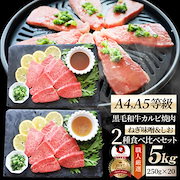 A4,A5等級 特選 黒毛和牛 カルビ焼肉 ねぎまみれ 味噌ダレ&塩ダレ 5kg(250g×各10) 食べ比べ 牛肉 肉 お中元 ギフト 食品 お祝い 霜降り 黒毛|肉・肉加工品