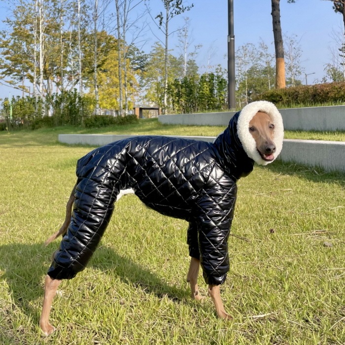 イタグレ服 中綿 キルティング ロンパース ダウンコート 小型犬 中型犬 秋冬 韓国 防寒 ペット服 ペット用品 犬服