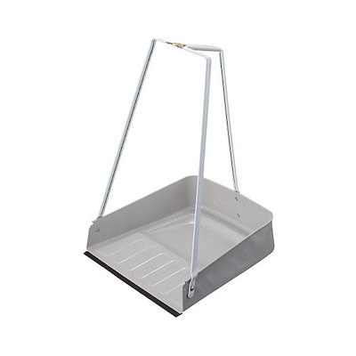 凛華。多肉植物。玉椿。根付き。二つで3cm. 凛華。多肉植物。玉椿。根付き。二つで3cm. 凛華。多肉植物。玉椿