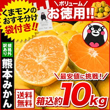 速攻出荷 みかん 約 10kg 箱込 訳あり 熊本ミカン 大玉 小玉 不選別 規格外 果物 柑橘 九州 訳アリ 蜜柑 箱 10kg 10キロ 以下 【3-7営業日以内に出荷（土日祝除く）】