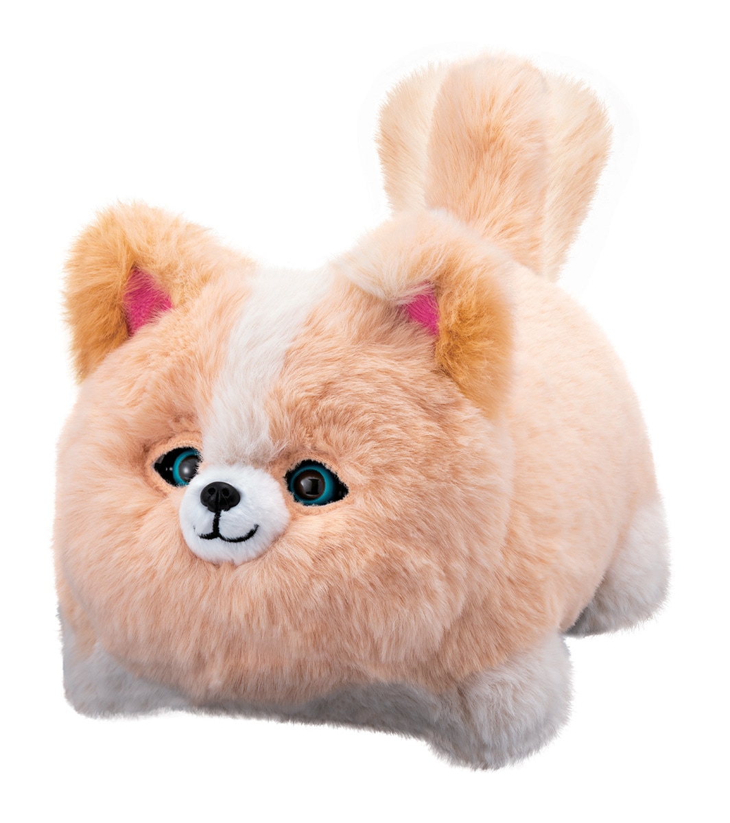 アガツマ ワンだきみは！　 ワンダキミハ