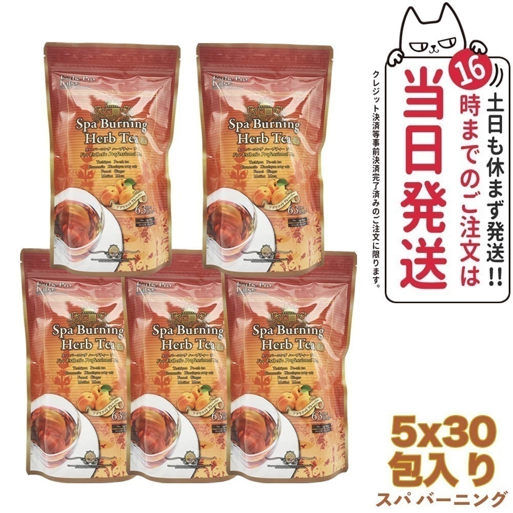 【5袋セット 賞味期限2026/01】エステプロラボ スパ バーニング ハーブティー プロ 30包 Esthe Pro Labo ダイエット オーガニック