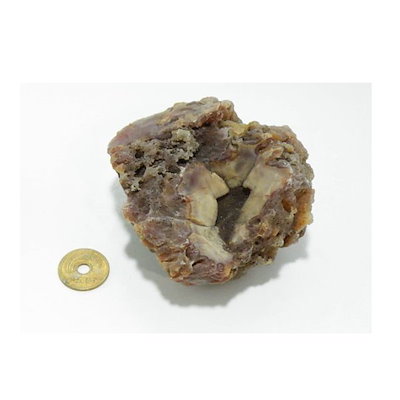 目玉商品❗Ferrari 、f1、モデルキット 2点セット✨新品未開封