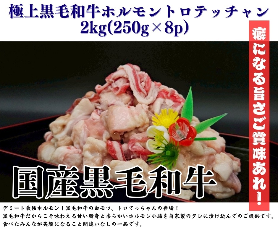極上黒毛和牛ホルモン トロテッチャン 2kg (250g×8p)