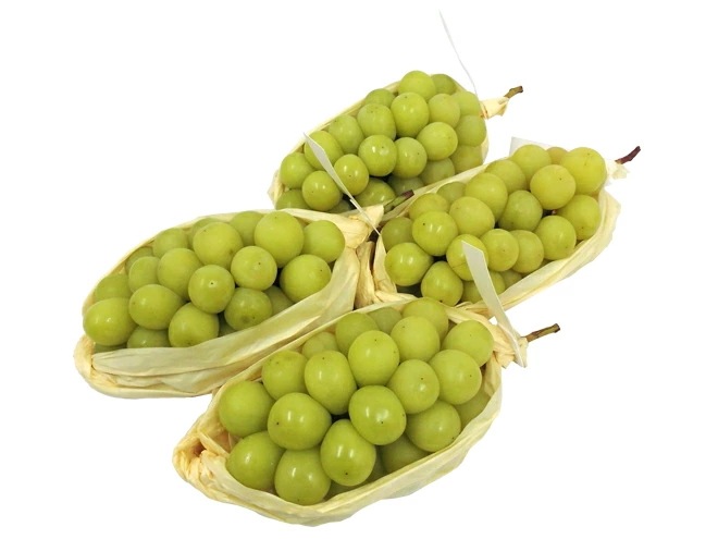 =完熟シャインマスカット= 秀品 3-5房 約2kg 産地厳選 予約 8月末以降