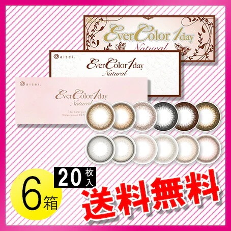 エバーカラーワンデー ナチュラル 20枚入6箱 / メール便