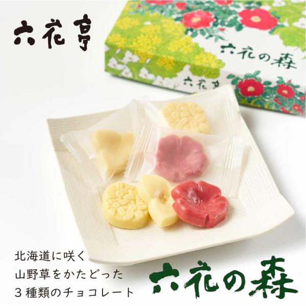 六花亭 六花の森 チョコレート 12枚入 × 15箱 北海道 お土産 チョコ 個包装 定番 スイーツ ギフト 老舗 北海道土産 人気 お取り寄せ 限定 おすすめ グルメ 北海道限定 夏ギフト