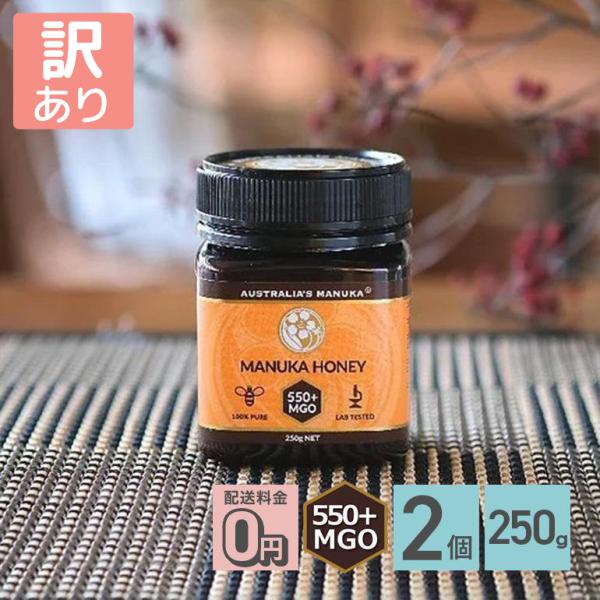【訳あり/賞味期限 2025年6月15日】アクティブ マヌカハニー MGO550+ 250g 2個セット マヌカハニー