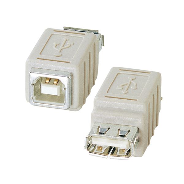 (まとめ) サンワサプライ USBアダプタ(A)メス-(B)メス AD-USB6 1個 (×10セット)