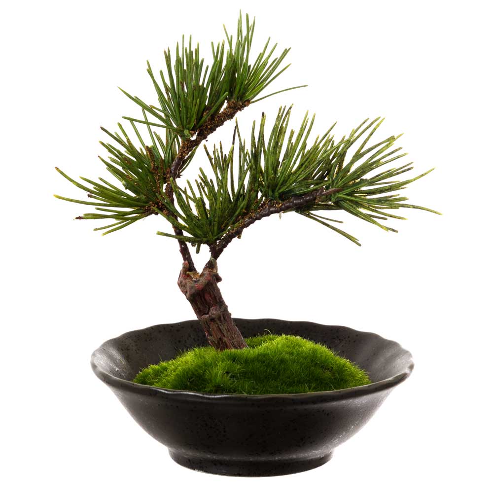 フェイクアート盆栽　然-ZEN-　寸-SUN-ミディアム09　本物を知る庭師職人がリアルな盆栽をイメージして作ったBONSAIモデル　日本的和風インテリア