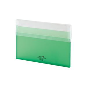（まとめ）LIHITLAB コングレスケース薄型 A-5035-6 黄緑(×10セット)