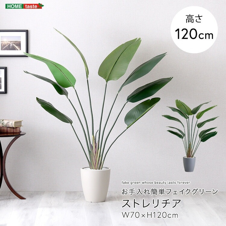 お手入れ簡単 フェイクグリーン ストレリチア Sサイズ 120cm 鉢付 人工観葉植物 鉢カバー不要 造花 リアルさを追求 新生活 引っ越し 家具 インテリア 模様替え