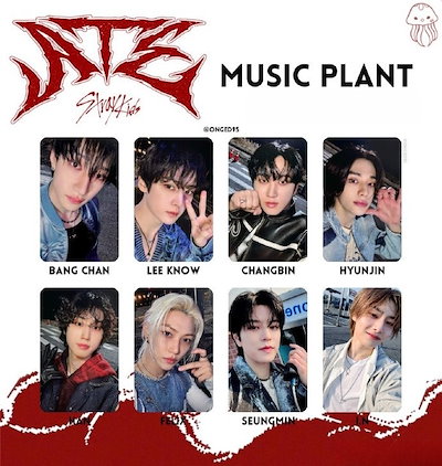 StrayKids ヒョンジン トレカ 特典 straykids ヒョンジン GO生 中華