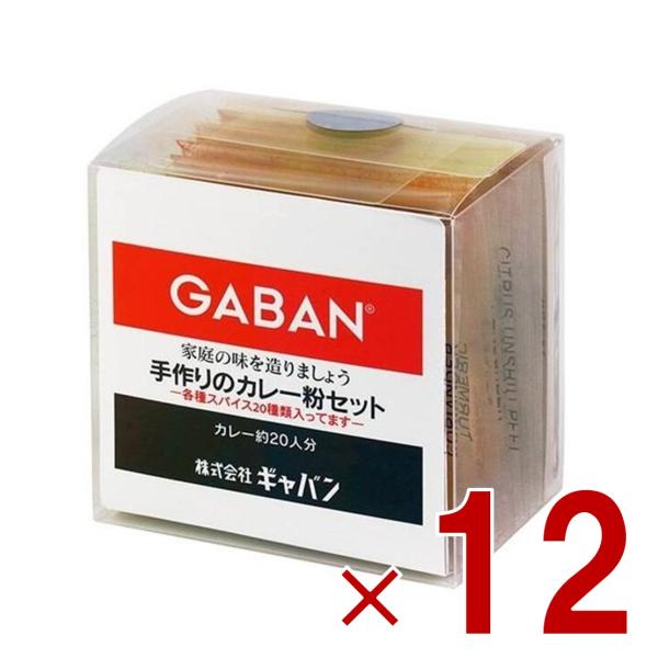 GABAN ギャバン スパイス 手作りのカレー粉セット 100g カレーペースト カレーライス 香辛料 調味料 減塩 塩分控えめ 12個