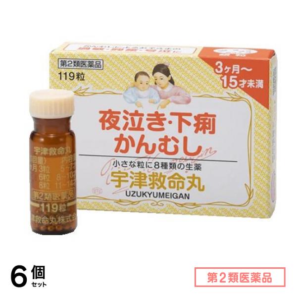 第２類医薬品 宇津救命丸銀粒 119粒 6個セット