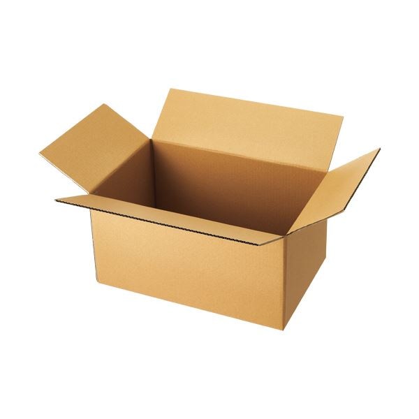 （まとめ）TANOSEE 軽量タイプ宅配用段ボール120-B3 1パック（10枚）[x10セット]