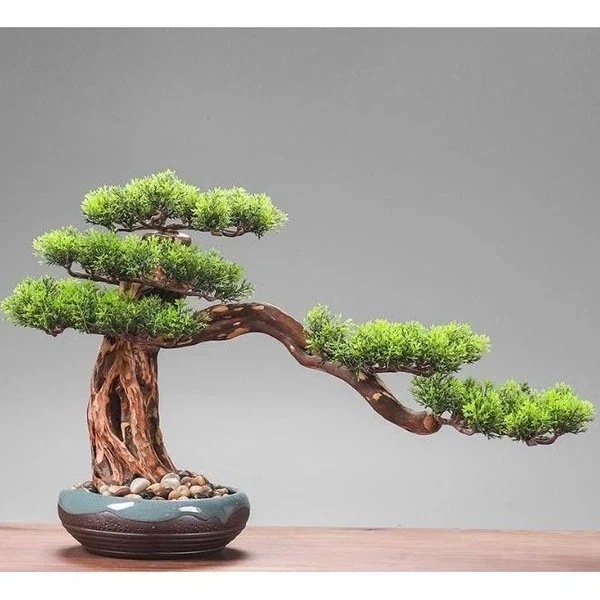 [高品質]コスパ最高!お急ぎください高級上質 珍品 迎客松盆栽 室内 置物 迎客松 禅意迎客松盆栽装飾品 花芸術 YYRA717