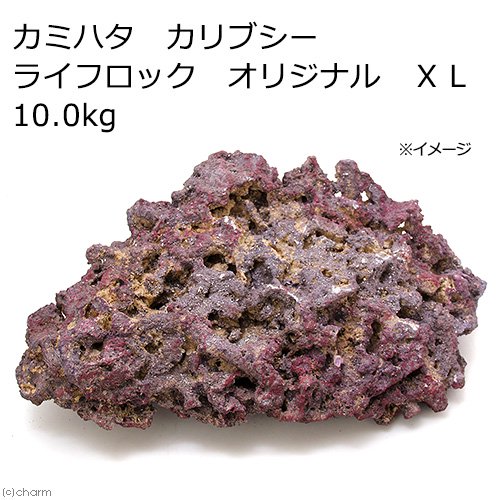 カミハタ　カリブシー　ライフロック　オリジナル　ＸＬ　１０．０ｋｇ　ＣＲＣ10―35―90―30―00