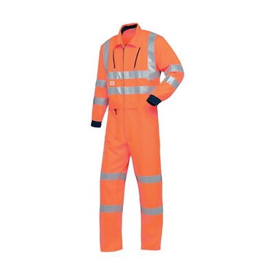 1905年 KPM ベルリン 手描き フィッシュプラター 51×24㎝　ma 1905年 KPM ベルリン 手描き フィッシュプラター 51×24㎝ Welcome to