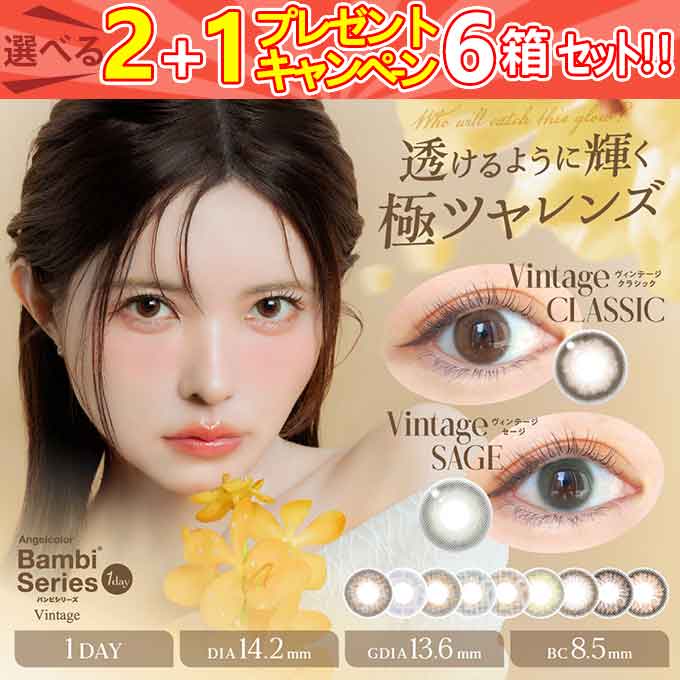 6箱60枚【4箱+2箱プレゼント】計60枚 カラコン エンジェルカラーバンビシリーズ ワンデー ナチュラル/ヴィンテージ en 度あり 度なし 1day カラーコンタクトレンズ 14.2mm