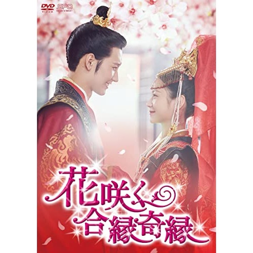 花咲く合縁奇縁 DVD-BOX2 ／ リー・ゲンシー/ホアン・ジュンジエ (DVD) OPSD-B821