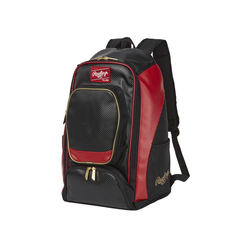 チームバックパック バッグ 23SS (EBP13S10)