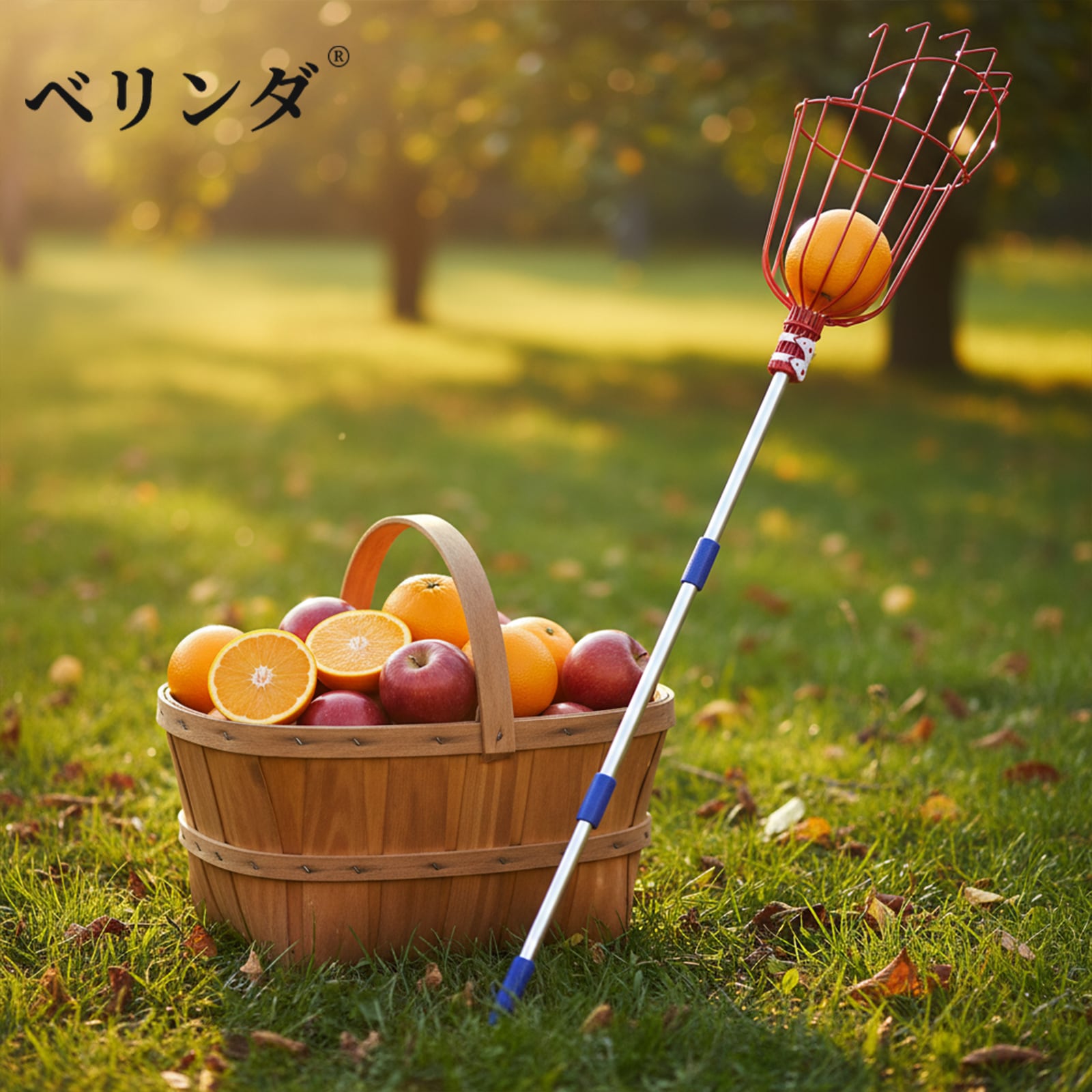 軽量伸縮式フルーツピッカー 果物収穫バスケット付き 柿取り棒 高所用園芸用具
