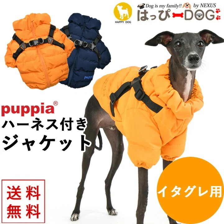 イタグレ冬服 イタグレ服 イタグレ イタリアングレーハウンド 犬 服 犬服 いぬ 犬の服 ジャケット ハーネス一体型 背中開き 背中ファスナー コート ジャンパー ブルゾン アウター 暖かい ファスナ