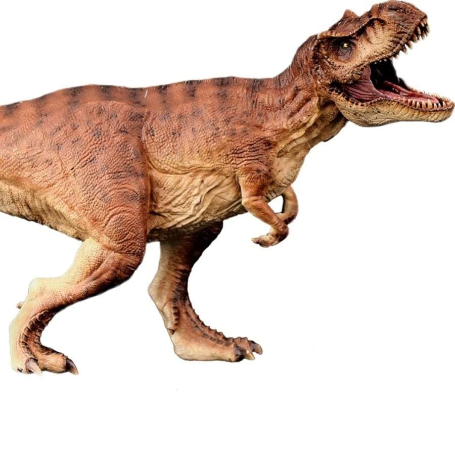 ティラノサウルス Tレックス T-Rex 動物 フィギュア プラモデル おもちゃ 模型 リアル PVC 恐竜好き 誕生日 プレゼント オリジナル 塗装済 完成品 37.5cm