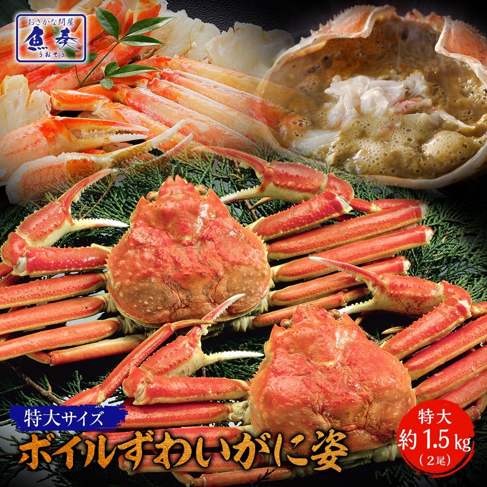 ボイルずわいがに姿特大2尾　約1.5kg かに カニ 蟹 ズワイ蟹　ずわいがに ズワイガニ　かに 姿 激安 かに鍋 お取り寄せ お試し