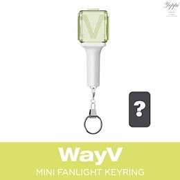 WayV 威神V 公式グッズ ミニペンライトキーリング テン スクールキット WayV 威神V 公式グッズ ミニペンライトキーリング テン スクール