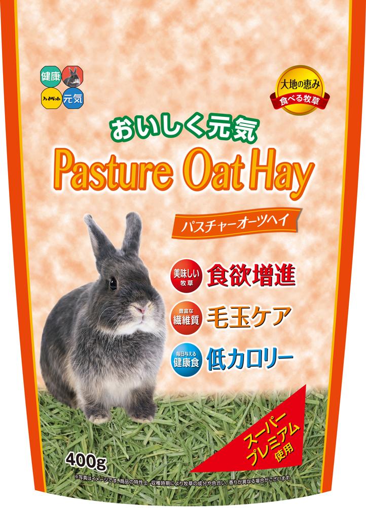 �n�C�y�b�g �p�X�`���[�I�[�c�w�C 400g