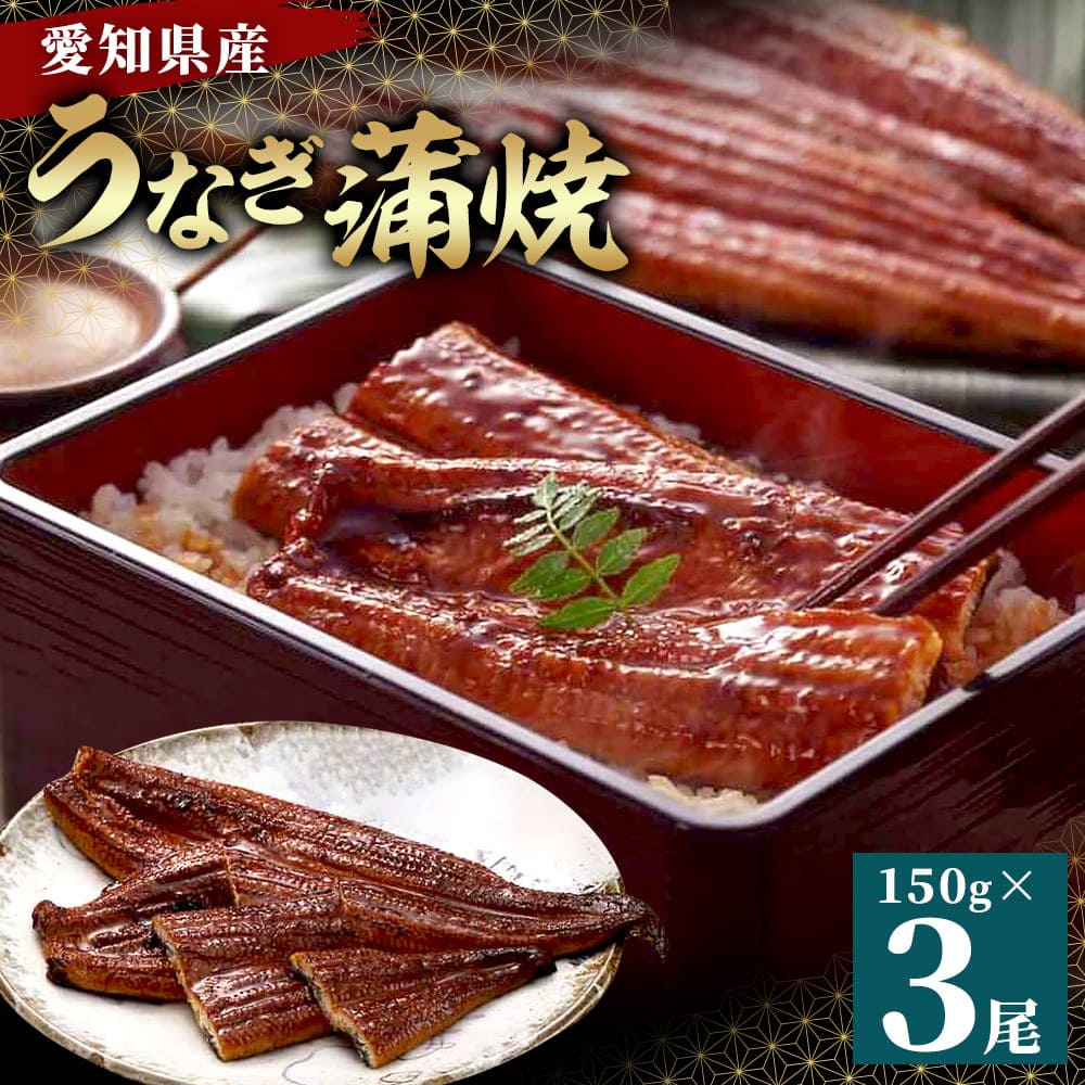愛知県産うなぎ蒲焼 約150g×3尾入 タレ・山椒付鰻 うなぎ 魚 蒲焼き