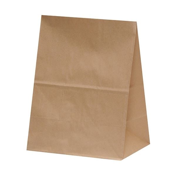 （まとめ）パックタケヤマ 角底袋 未晒 無地 H500mm 1パック（100枚）[x5]