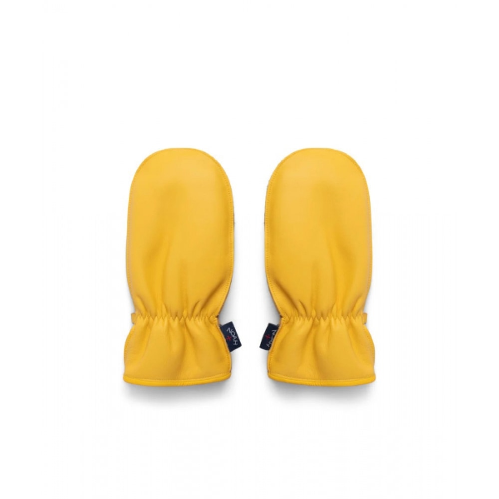 プーマプーマ X ノアグローブ-ミモザ/ 054714-01