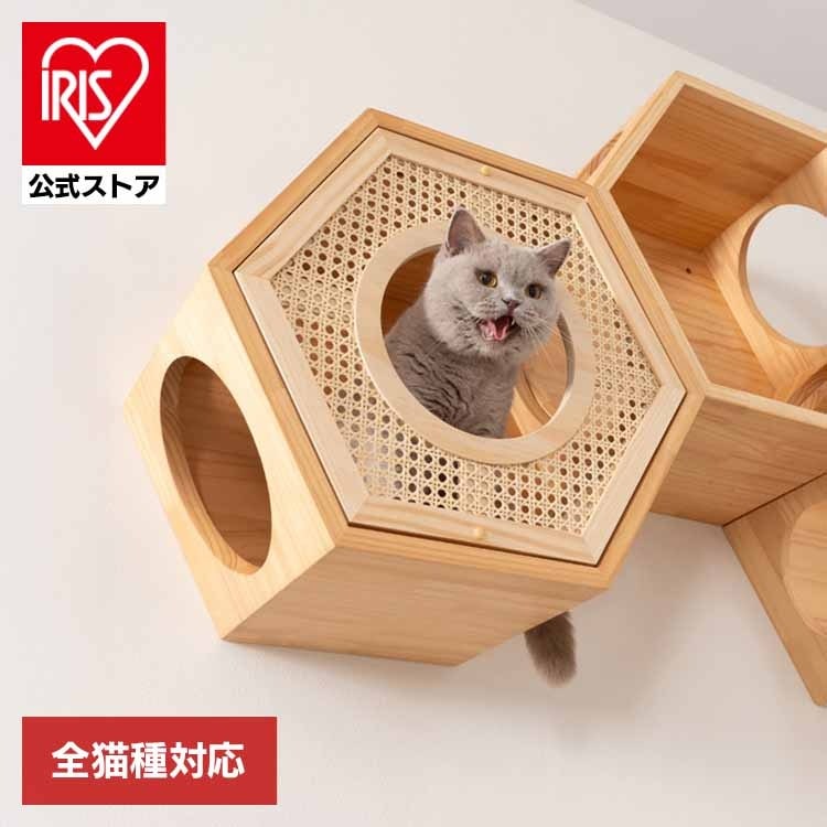 キャットウォーク キャットステップ 猫用品 ペット用品 猫家具 猫ベッド 壁掛け ペット共生 猫部屋 六角ハウスカバー(RATTAN) MZ0022