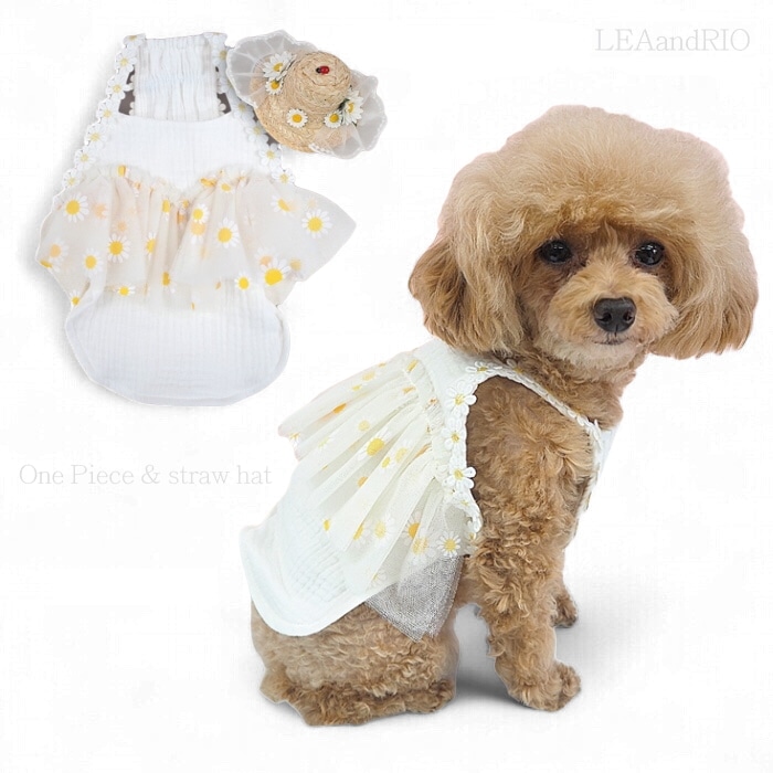 ワンピース＆麦わら帽子 P565