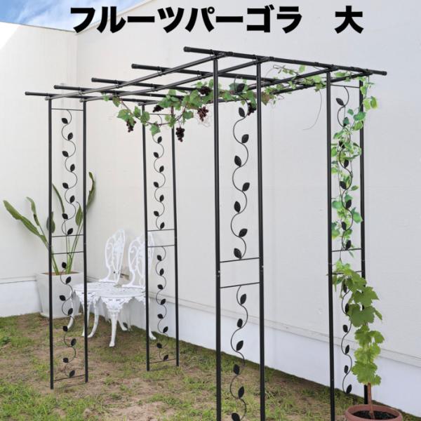 フルーツパーゴラ 大 幅120×奥行90×高さ180cm 果物棚 藤棚 ふじ棚 ぶどう棚 葡萄棚 園芸棚 ガーデニング