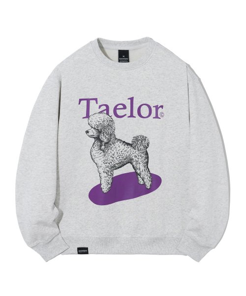 [ GROOVE RHYME][レッドベルベットウェンディPICK] テイラーシリーズ プードル マンツーマンTシャツ