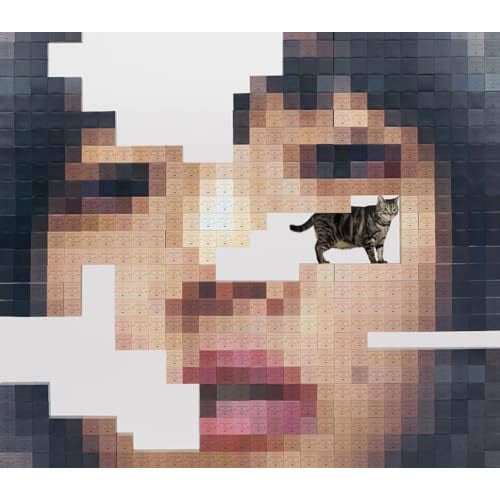 CD / あいみょん / 猫にジェラシー (CD+2Blu-ray) (初回限定Blu-ray盤)