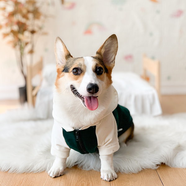 Qoo10] コーギー服 春秋 薄手 小型中型犬 抜け