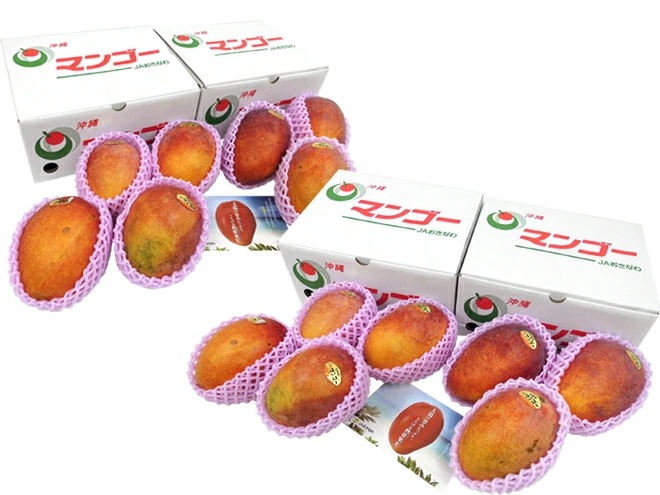 沖縄産 =完熟マンゴー= 訳あり 約1.5kg x4箱 12-20玉前後 産地箱 沖縄マンゴー 予約 7月下旬以降