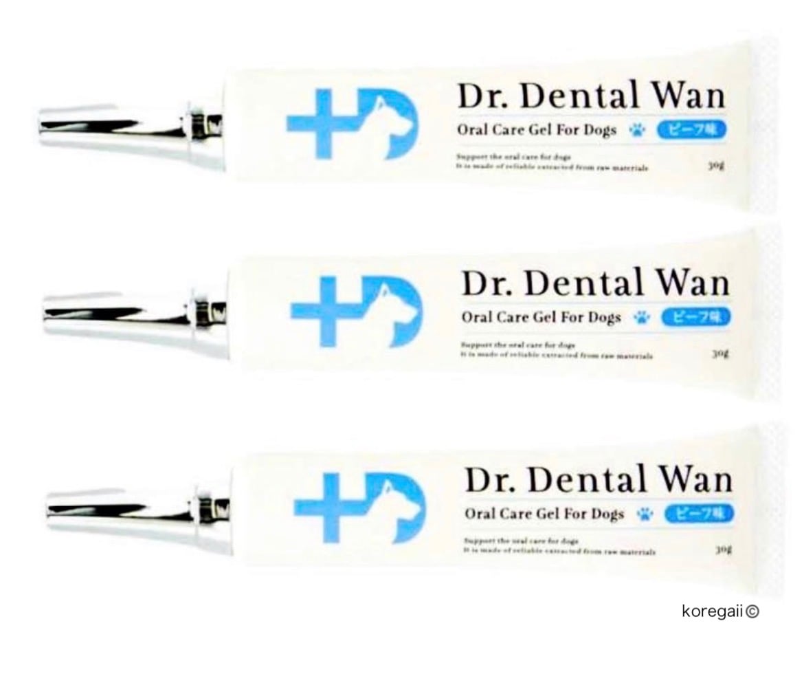 ドクターデンタルワン ビーフ味 犬用 3本 歯磨き ジェル 口 ペット 30g Dr.DentalWan