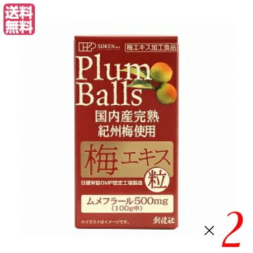 梅エキス 粒 無添加 創健社 国内産完熟紀州梅使用 梅エキス 粒 90g（約450粒）
