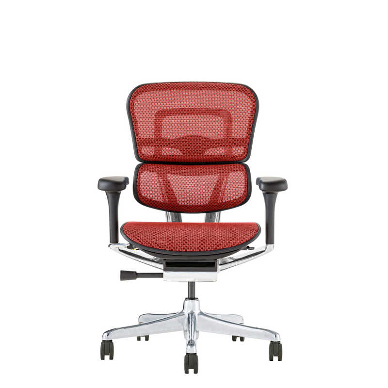 関家具　エルゴヒューマン Ergohuman 新基盤モデル エルゴヒューマン2 プロロータイプ ブラックフレーム EHP2-LAM-DR-BF-RD レッド　445418