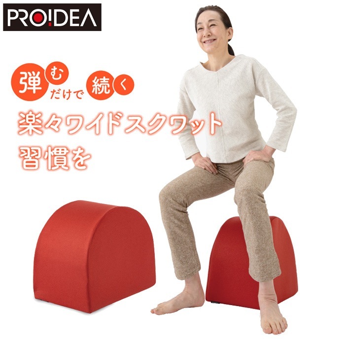 プロイデア エクササイズクッション ワイドスクワットホッパー D-0070-4139-02 ベイクドレッド
