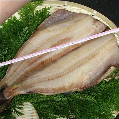 縞ほっけ 開き 一夜干し ホッケ開き ほっけ開き シマホッケ 5枚