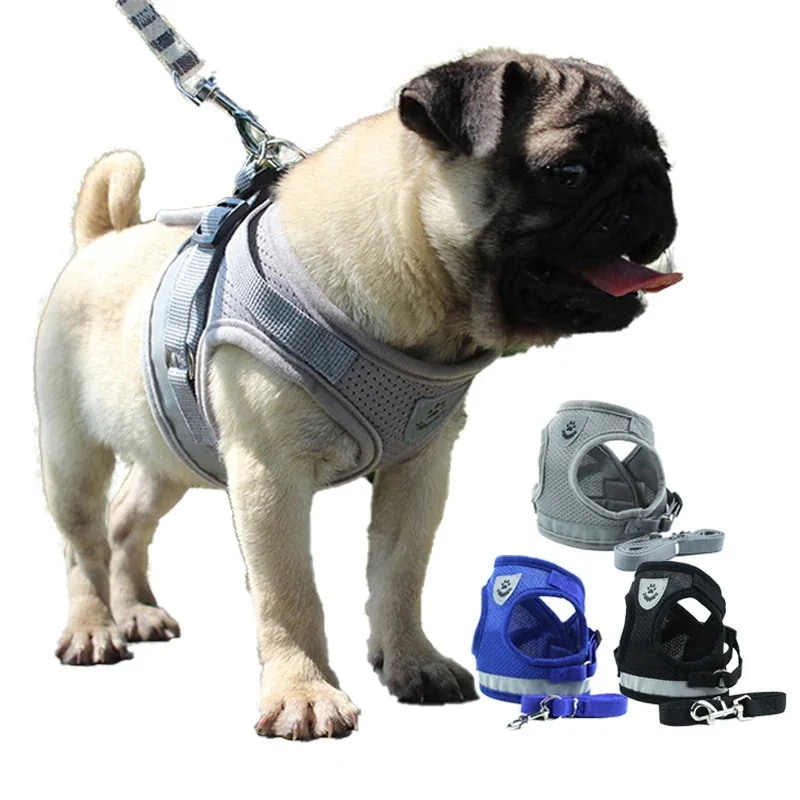 犬 リードハーネスセット 首輪 小型犬中型犬用メッシュ素材 クール 快適リラックス春夏用 胴輪 ハーネス